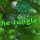Roblox Song ID Welcome to the Jungle